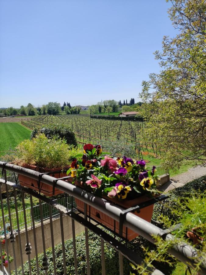 Agriturismo La Vigna 콜라 외부 사진