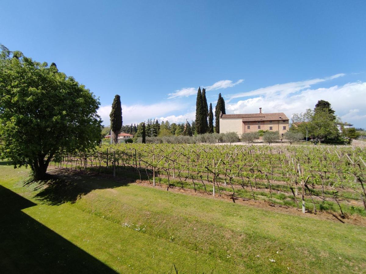 Agriturismo La Vigna 콜라 외부 사진